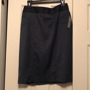 NWT Blue Pencil Skirt